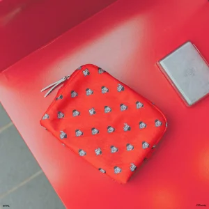101 Dalmatians Pouch (Horizontal / Vertical)